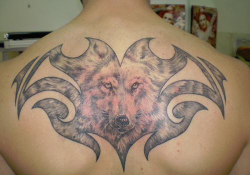 Tatuaggio grande sulla schiena la faccia del lupo