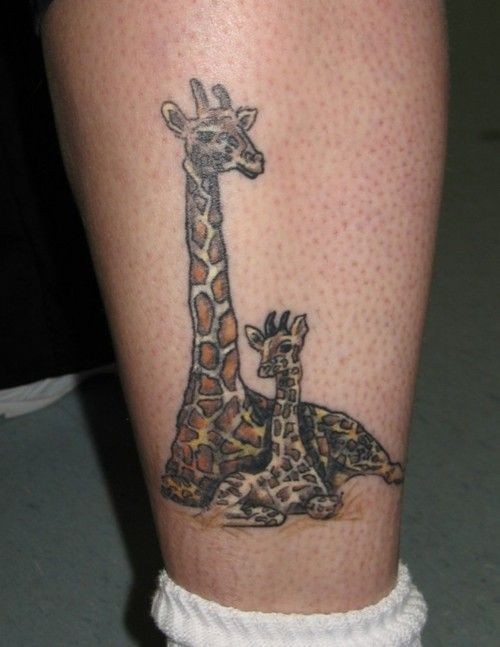 bellissime giraffe mamma con figlio tatuaggio colorato su gamba