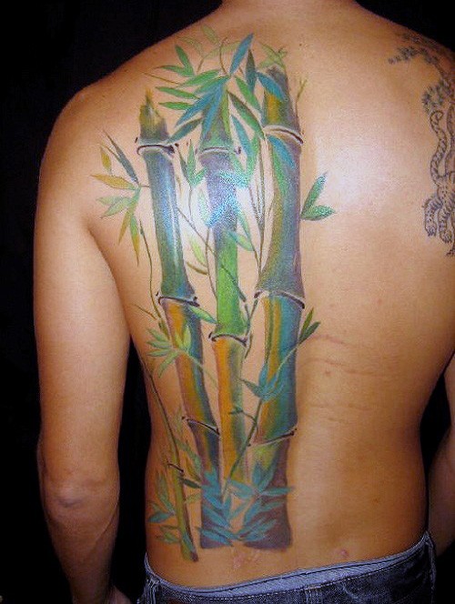 Typical natural colored half back tattoo of bamboo forest