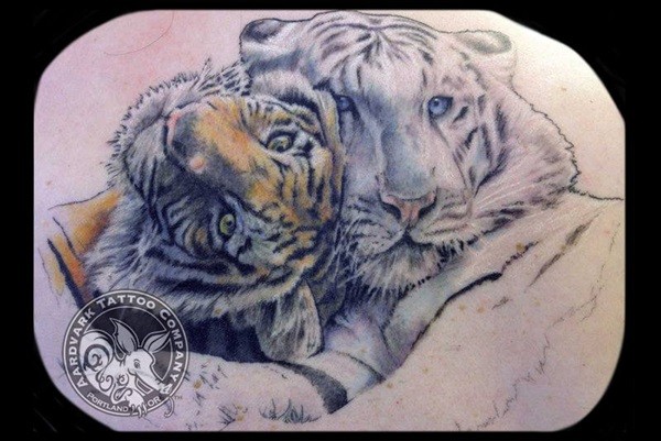 Unbelievable multicolored white and regular tiger couple tattoo