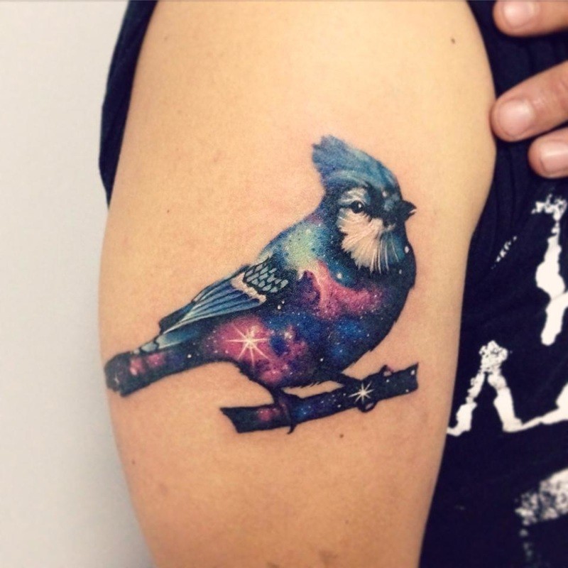 Unbelievable realism style colored shoulder tattoo of small bird stylized with space