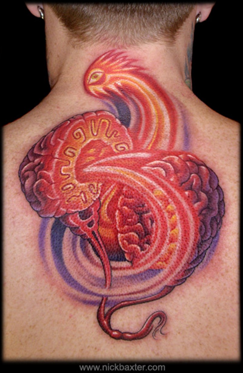 Unique designed colored divided human brain tattoo on upper back with little burning eye