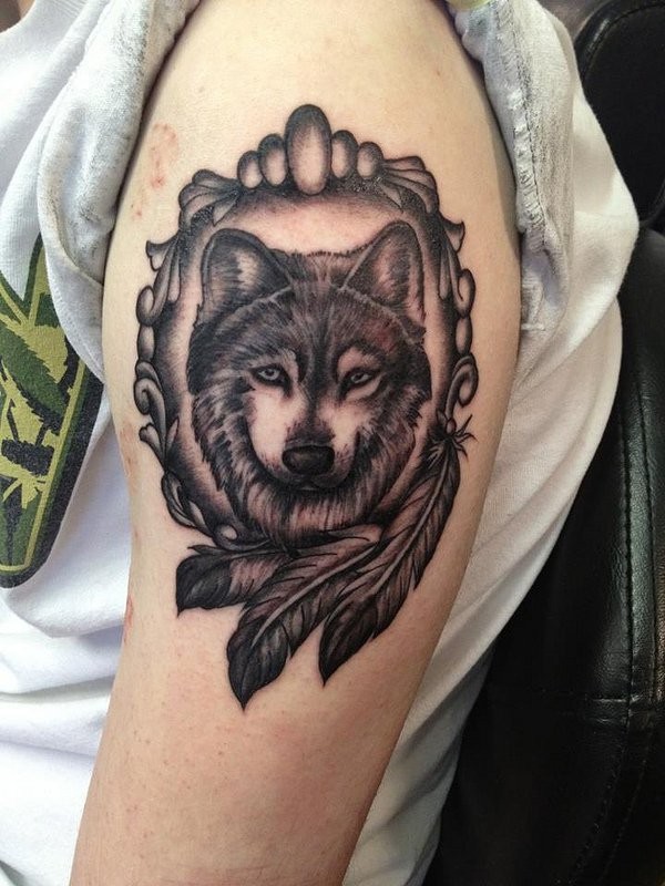 Tatuaje en el brazo, lobo lindo en el marco decorado con plumas