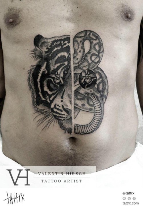 Unusual combined black and white tiger with snake tattoo on belly