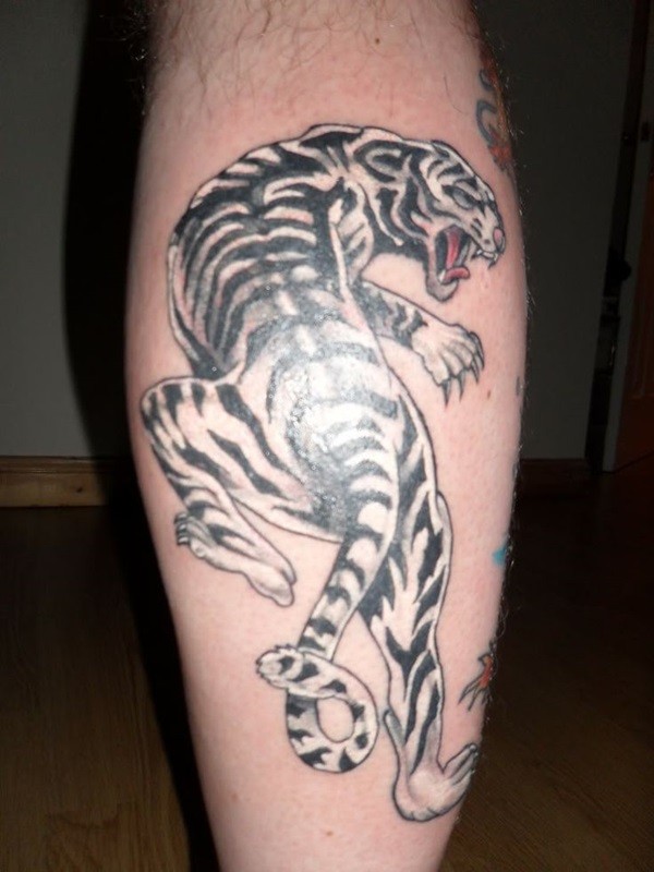 Unusual painted colored rare white tiger tattoo on leg muscle