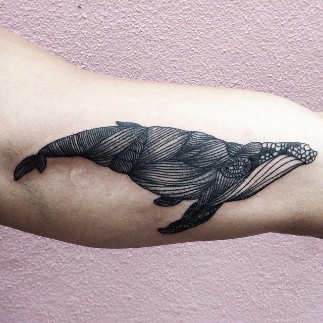 Unusual style painted little black and white wale tattoo on arm