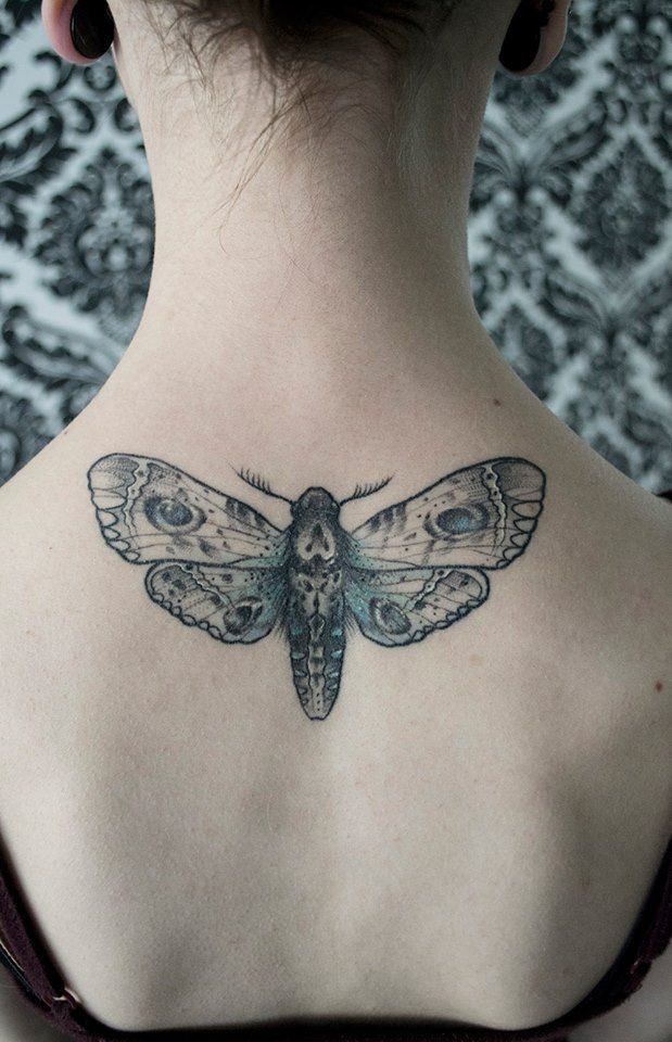 Upperback moth tattoo for girls on back
