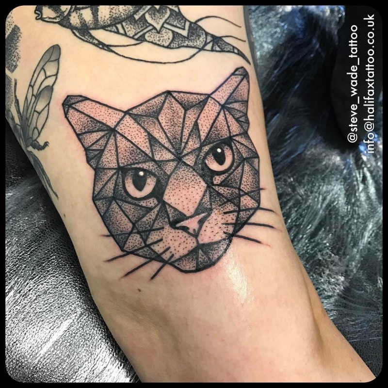 Tatuagem usual do braço do estilo do ponto da cara assustador do gato