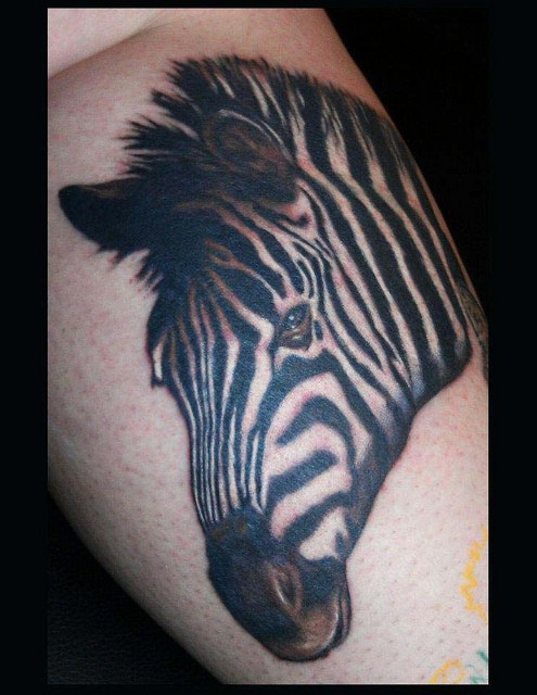 Usual style painted big black and white zebra tattoo on leg