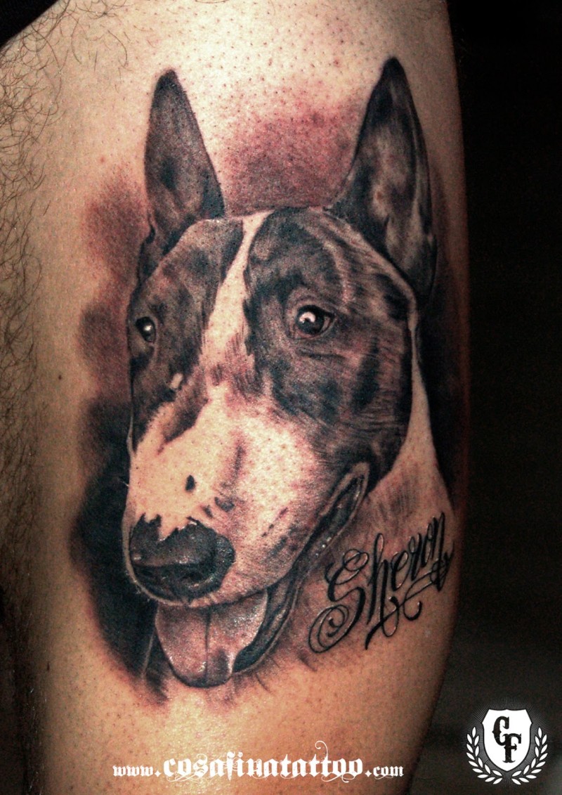 Very detailed realism style colored dog with lettering tattoo