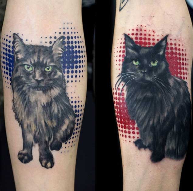 Sehr realistisch aussehende präzise gemalt farbige verschiedene Katzen Tattoos an den Unterarmen