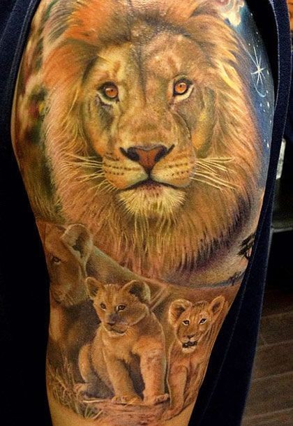 Very realistic looking big colored lion family tattoo on shoulder