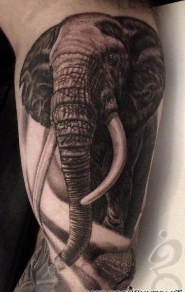 Very realistic looking black and white massive elephant tattoo on arm