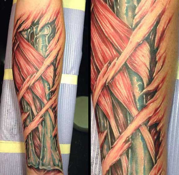 Very realistic looking colorful bones and muscles tattoo on arm