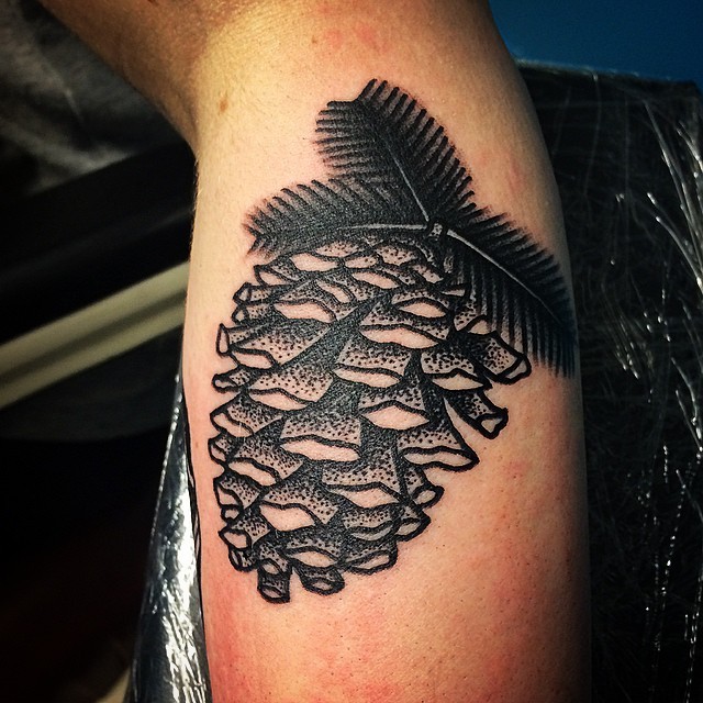Vintage style black ink arm tattoo of fir-cone with leaves