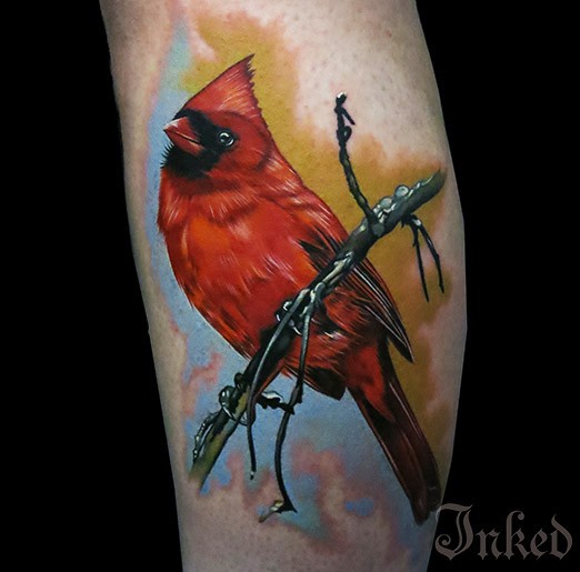 Tatuaje de pájaro gordito rojo