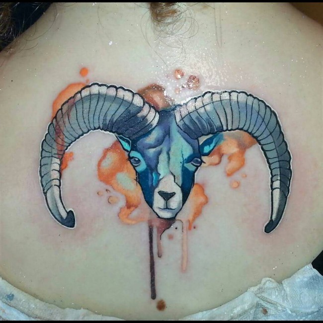 Watercolor style little colored goat head tattoo on upper back