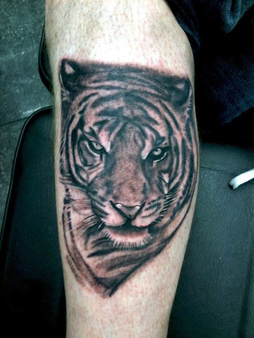 Tatuaje en la pierna,
tigre severo amenazante