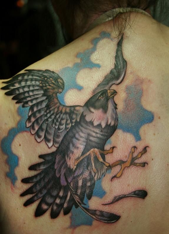 Tatuaje en la espalda, halcón cazador precioso