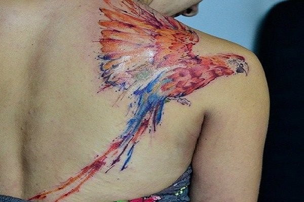 Wonderful flying multicolored parrot tattoo on shoulder blade in watercolor style