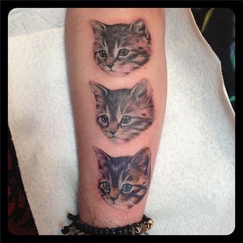 Wonderful lifelike colored arm tattoo of kittens portraits