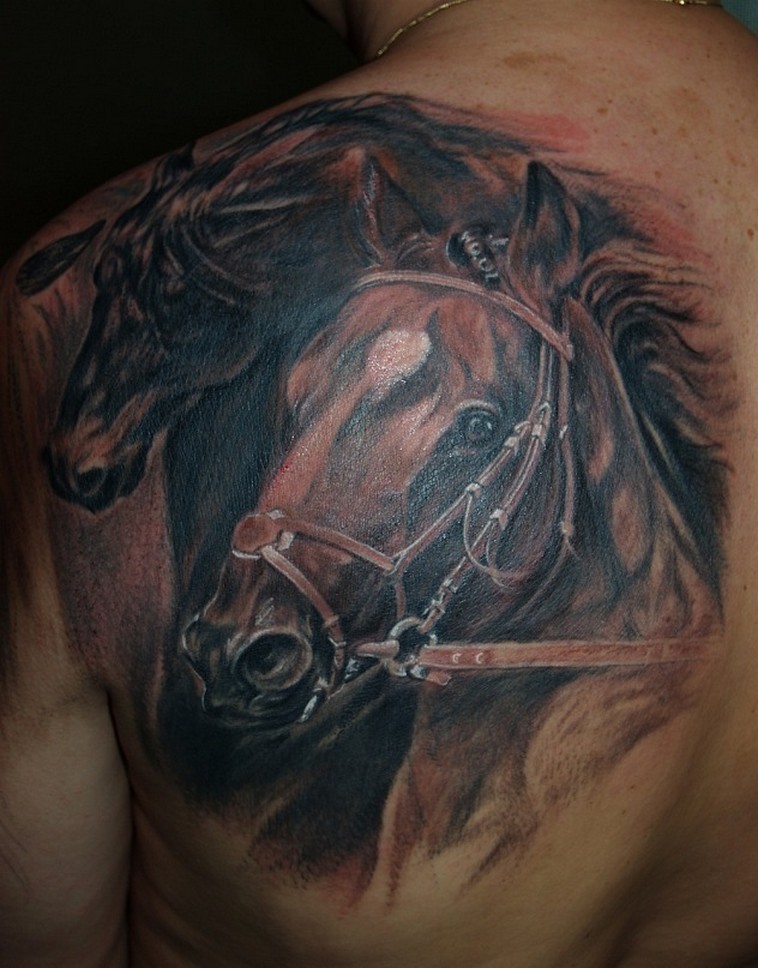 meraviglioso ritratto di cavallo scuro corsi tatuaggio sulla scapola