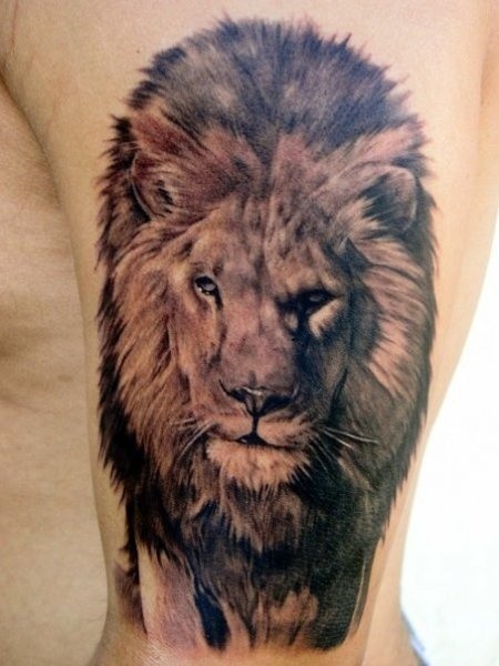 Wonderful realistic lion tattoo on arm