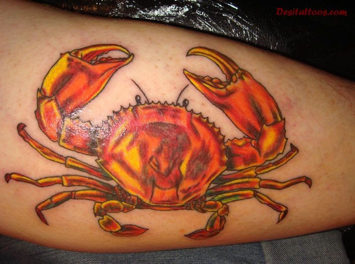 Wunderbare rote Tinte Krabben Tattoo am Arm