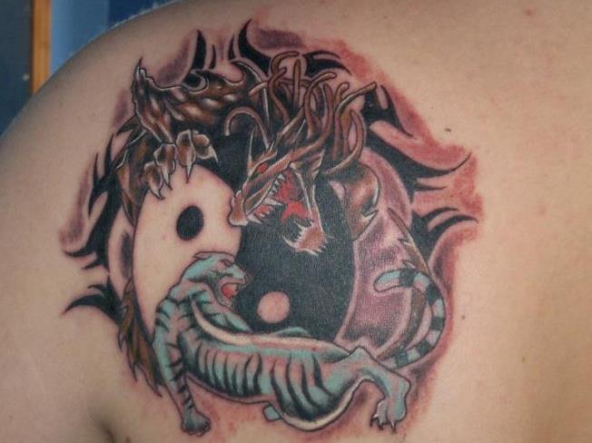 Yin yan tiger and dragon tattoo on back shoulder