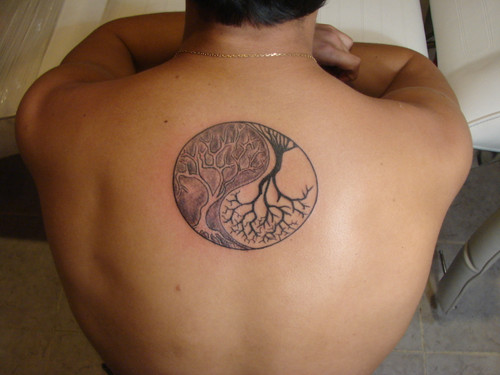 Tatuaggio sulla schiena gli alberi in stile Yin-Yang