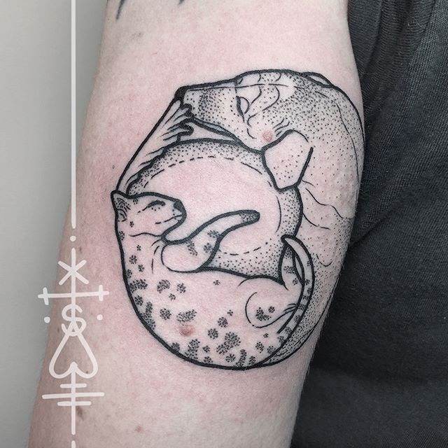 Yin Yang symbol shaped dot style arm tattoo of cat with bear