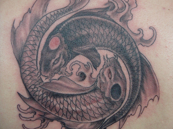 Ying yang koi fish tattoo